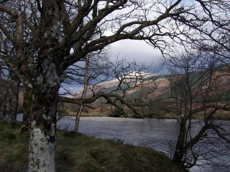 Along River Orchy 01